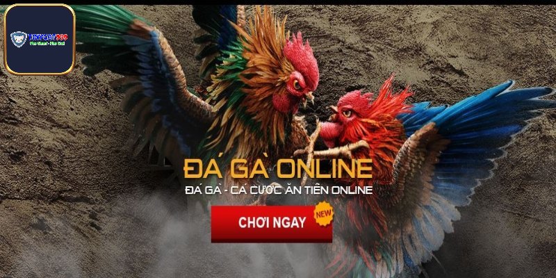 3 bước trải nghiệm đấu kê tại Sv388