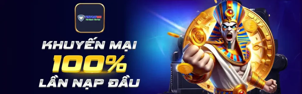 Tinycat99 - Link vào Tinycat99 chính thức, đăng ký nhanh