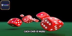 Cách Chơi Xí Ngầu Dễ Thắng, Ẵm Ngay Tiền Tỷ Cho Tân Binh