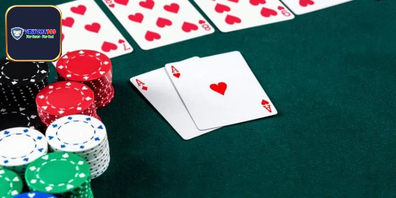 Cách đoán nước bài catte qua phân tích cụ thể