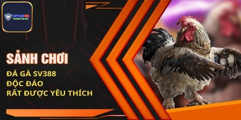 Đá Gà Sv388 - Tụ Điểm Giải Trí Hàng Đầu Thị Trường Châu Á