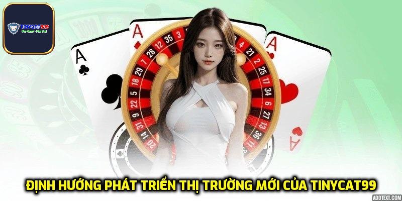 Định hướng phát triển thị trường mới của Tinycat99