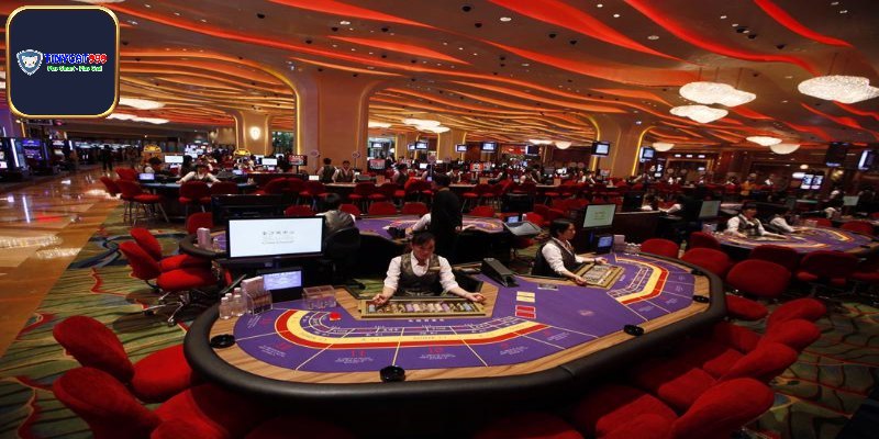 Jethro Phan dựa kinh nghiệm ở Macau