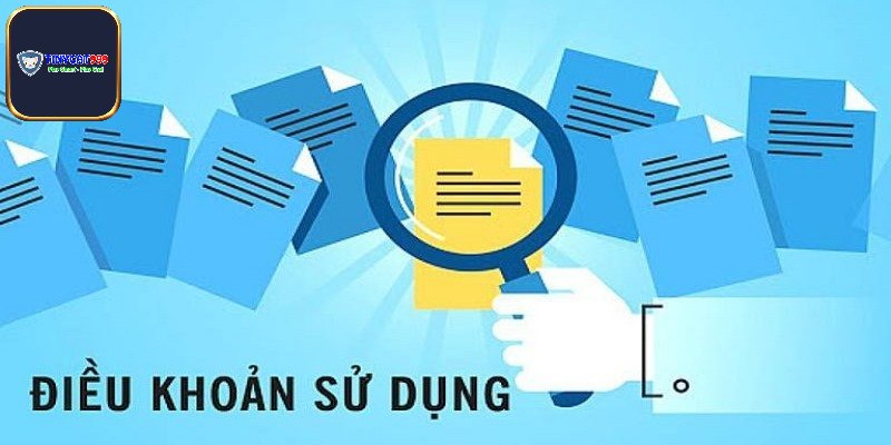 Khái quát vài nét về điều khoản sử dụng Tinycat99