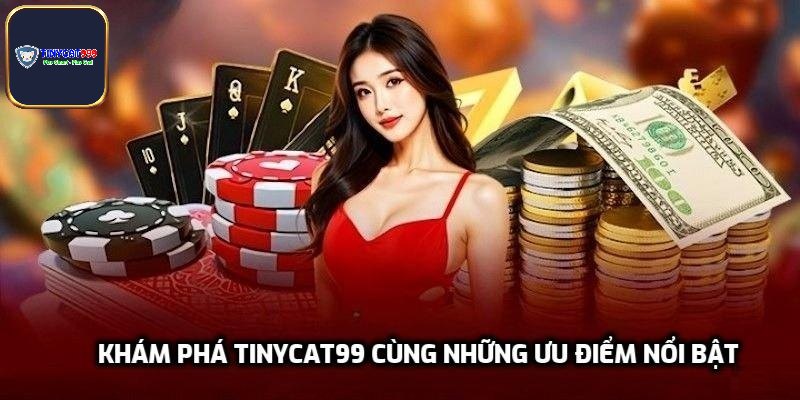Khám phá Tinycat99 cùng những ưu điểm nổi bật