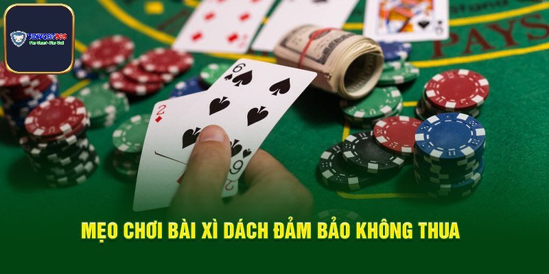 Mẹo và chiến lược giúp bạn chơi xì dách tốt hơn