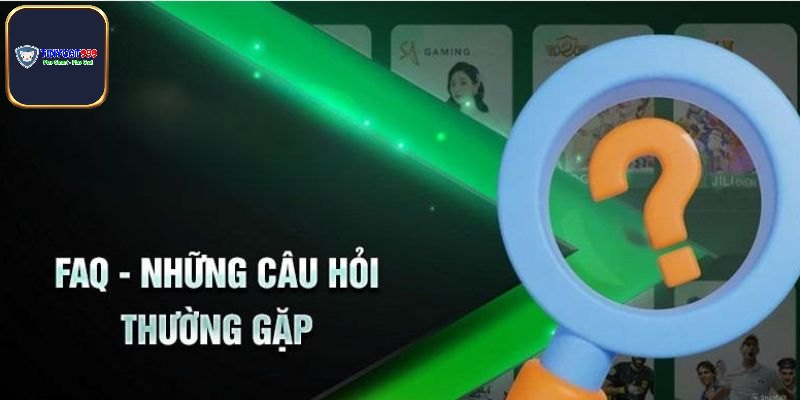 Những câu hỏi thường gặp Tinycat99 về vấn đề an ninh
