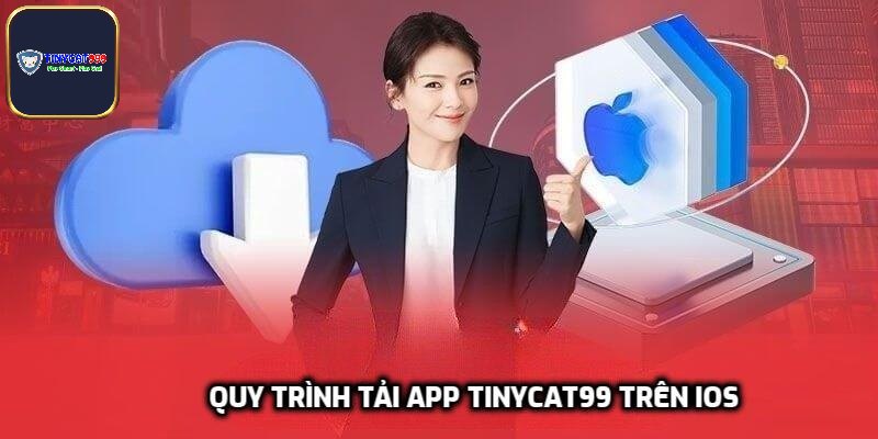 Quy trình tải app Tinycat99 trên iOS