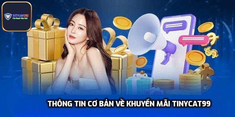 Thông tin cơ bản về khuyến mãi Tinycat99