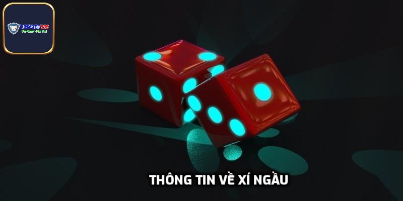 Thông tin về xí ngầu