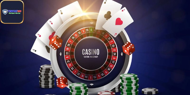 Thành tựu nhà cái đạt được trong thời gian qua