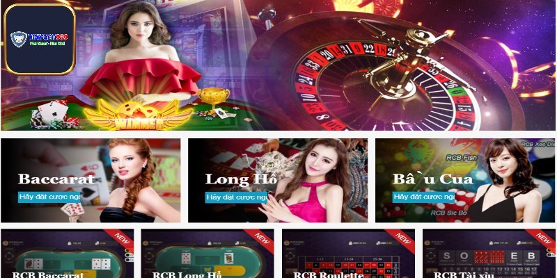 Tổng quan cơ bản về live casino Tinycat99