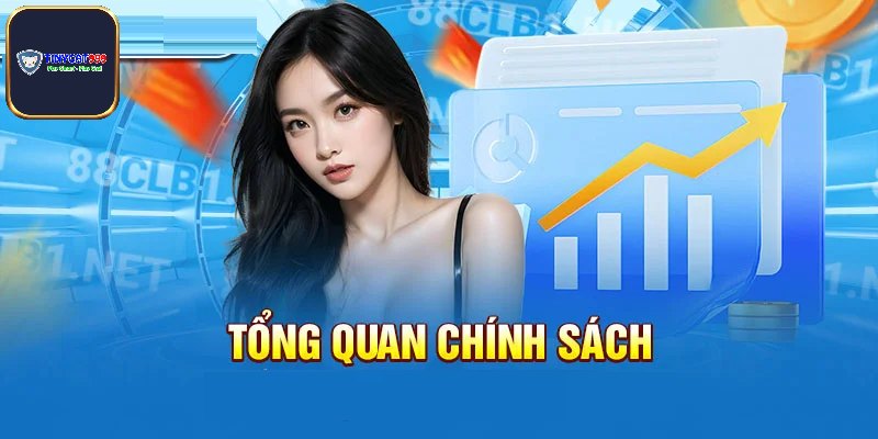 Tổng quan sơ lược về chính sách bảo mật Tinycat99