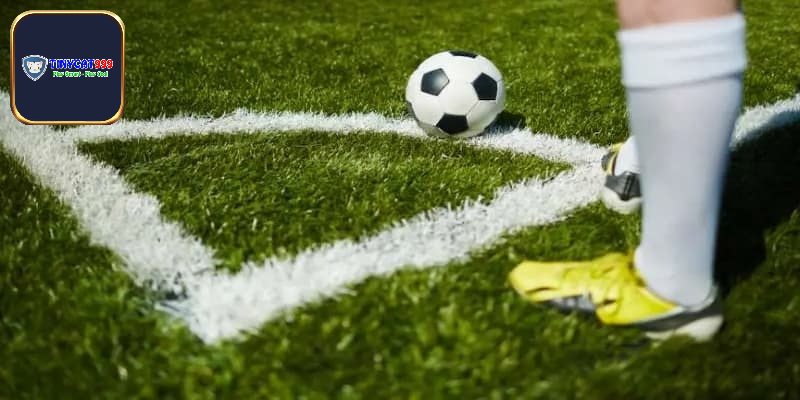 Trả lời câu hỏi tài xỉu 1 trái là sao