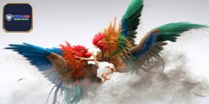 Trường Gà Long An - Trực Tiếp Cuộc Đối Đầu Đầy Kịch Tính