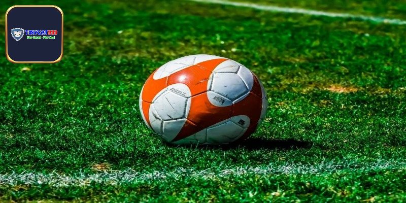 Trường hợp bet thủ nên chơi tài xỉu 1 trái